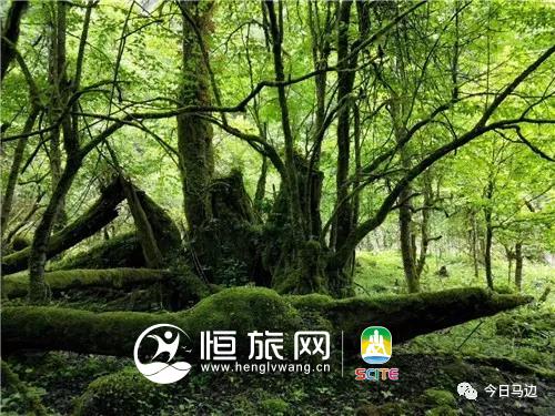 微信图片_20190722104719.jpg 微信图片_20190722104719.jpg
