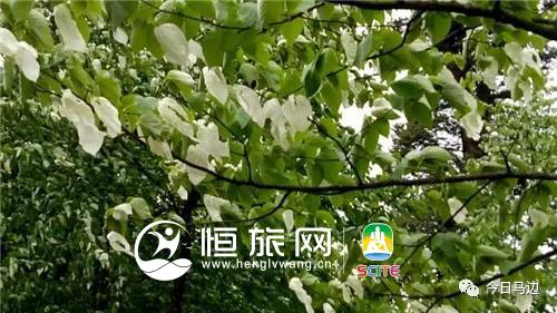 微信图片_20190722104714.jpg 微信图片_20190722104714.jpg