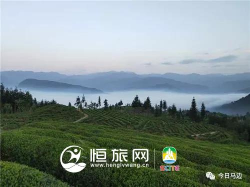 微信图片_20190722104804.jpg 微信图片_20190722104804.jpg