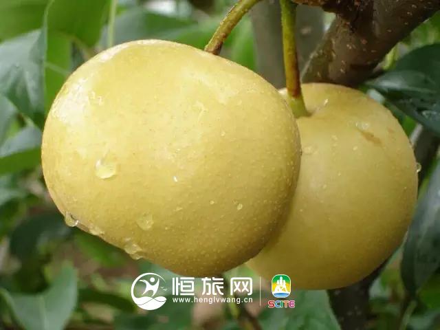 微信图片_20190722105635.jpg 微信图片_20190722105635.jpg