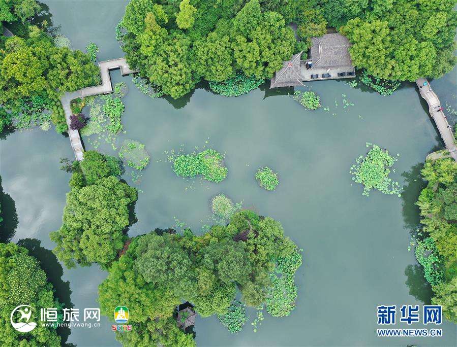 （环境）（4）西湖初夏